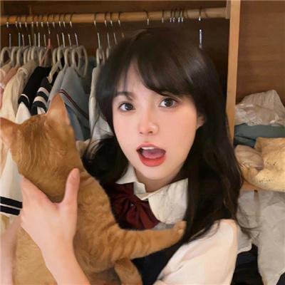 鸭川荷尔摩